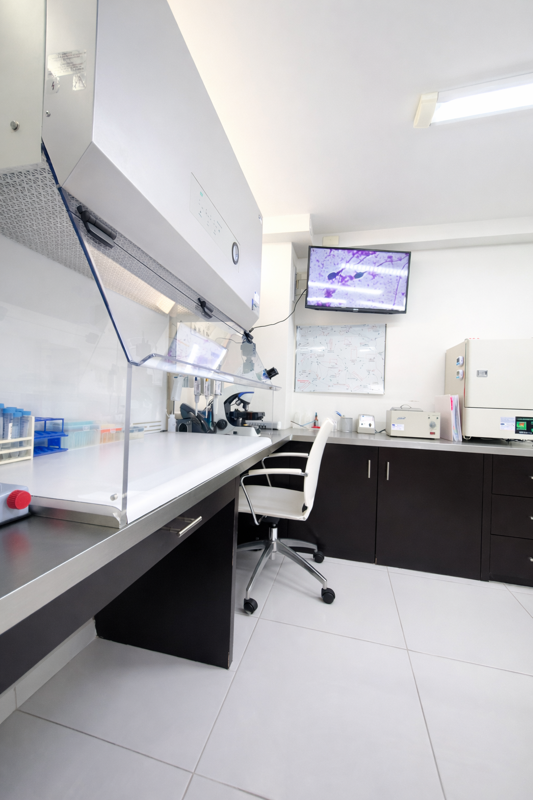 Estación de trabajo del laboratorio